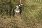 Украинская земля, фото: скриншот с YouTube