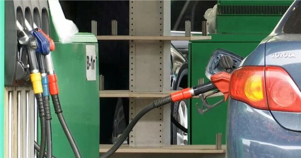 АЗС, бензин, дизель, цены. Фото: Telegram