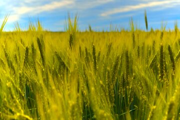 Синоптик Диденко рассказала, какой будет погода в День Независимости. Фото: YouTubе