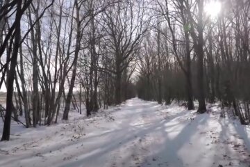 Зима. Фото: YouTube, скрин