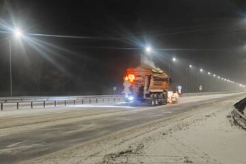 «Туман, ожеледь і сніг стіною»: 7 січня Україну накриє небезпечна негода — екстрене попередження синоптиків