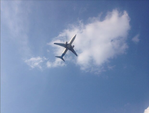 Самолет в небе. Фото: СТЕНА