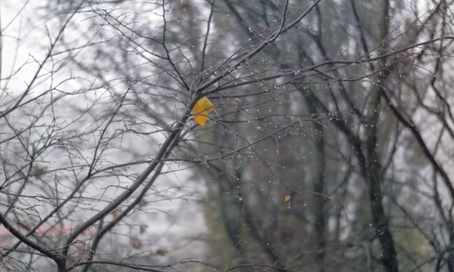 Дощова погода. Фото: скріншот YouTube-відео