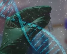 Анализ генов. Фото: скриншот YouTube