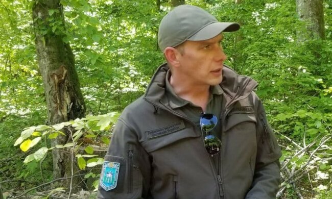 64% збитків, розрахованих Держекоінспекцією на Чернігівщині, завдані лісам