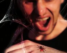 Павук. Фото: YouTube