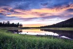 Природа. Фото: скриншот YouTube-видео