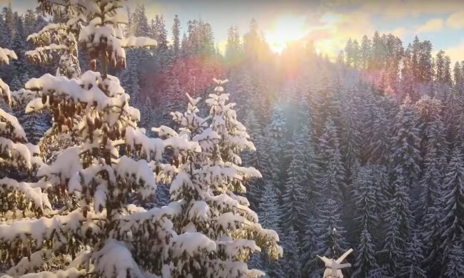 Природа. Фото: YouTube, скрін