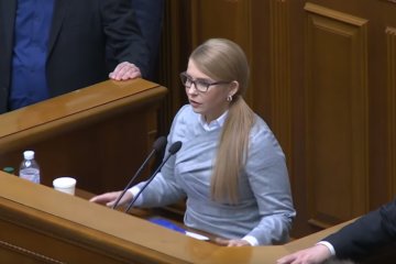 Юлия Тимошенко выступила от имени протестующих фермеров, фото: скриншот с YouTube