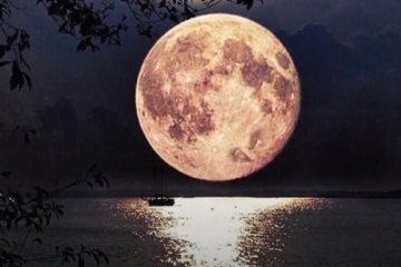 Гороскоп на 14 апреля 2020 года