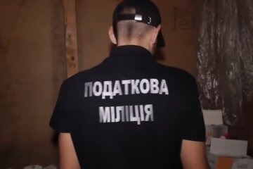 Налоговая милиция. Фото: скриншот Youtube-видео