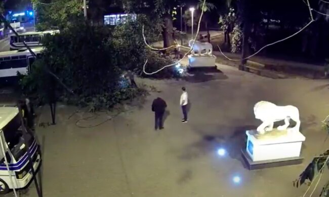 Чудом спаслись: появилось видео падения дерева на людей в Одессе