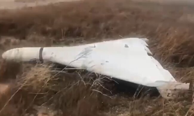 Уничтоженный "шахед". Фото: скрин видео