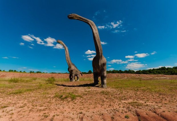 Ученые обнаружили в Якутии зубы древних динозавров — они были похожи на огромных ящеров