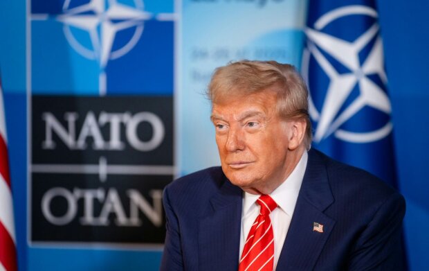 Прапори країн НАТО на саміті — США планують скоротити військову присутність у Європі