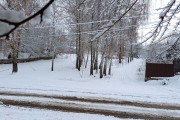 Снег. Фото: сайт Стена