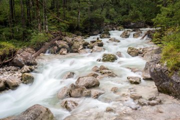 Выбросы углерода зашкаливают: ученые исследовали горные ручьи и поразились – в чем причина