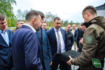 Ігор Зубович, Голова комісії з перетворення ДП «Ліси України»