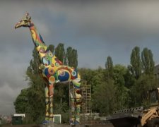Киевский зоопарк. Фото: скриншот YouTube
