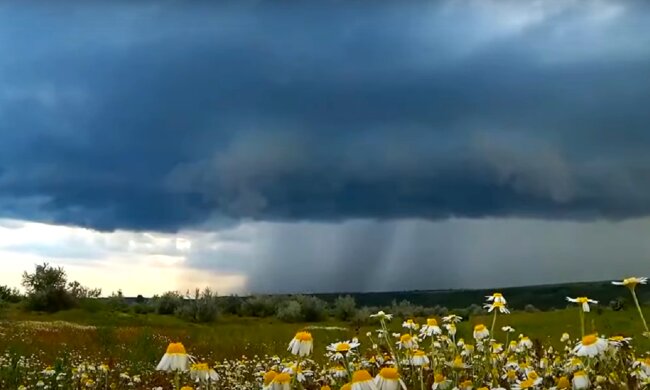 Погода. Фото: YouTube