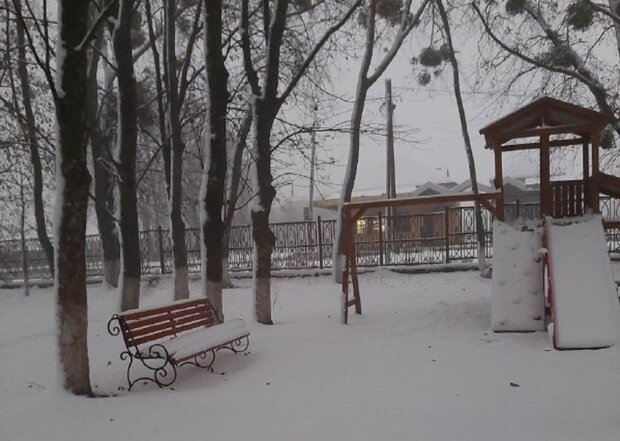 Погода в Украине. Фото: "Стена"