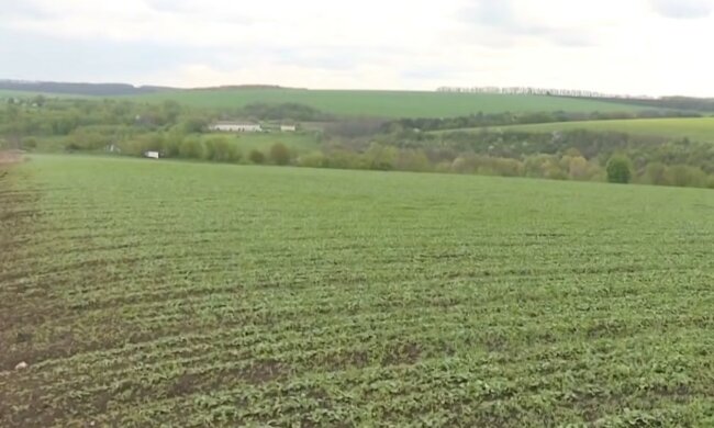 Сельхоз земля. Фото: скриншот Youtube