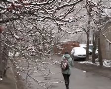 Синоптики предупредили о заморозках и снегопадах в Украине. Фото: скриншот YouTube