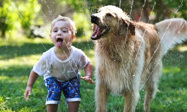 Зашкаливающий уровень милоты: малыши и их четвероногие друзья . Видео