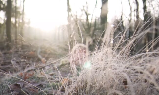 Погода в Украине. Фото: YouTube, скрин