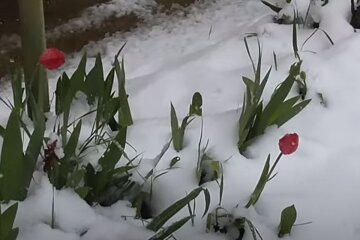 Снег весной. Фото: скриншот YouTube-видео