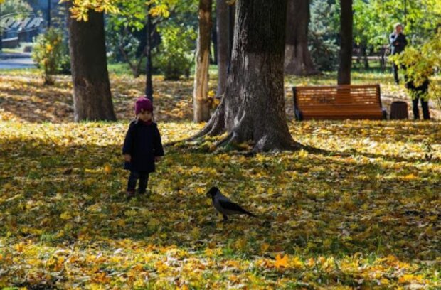 Такой осенью можно наслаждаться вечно: погода на выходные дни в Киеве