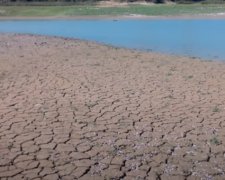 Засуха в Украине. Фото: скриншот YouTube