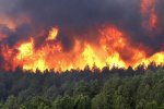 На Херсонщине пожар! все окутано дымом. Появились фото