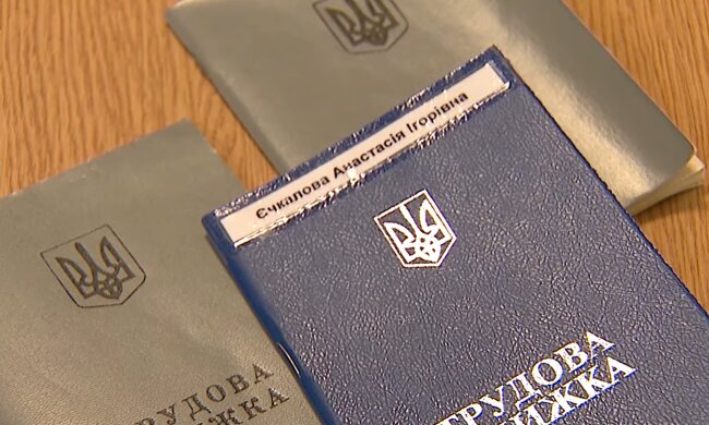 Трудовая книга.  Фото: скриншот YouTube-видео