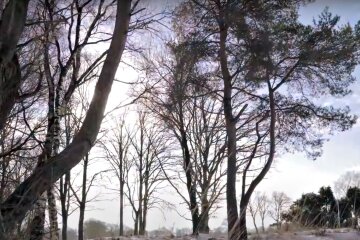 Погода в Украине. Фото: скриншот Youtube-видео