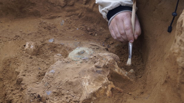 Археологи нашли деревянный щит, которому 2300 лет: полностью перевернул представление об оружии
