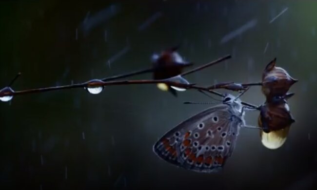 Погода на 18 июня 2020 года