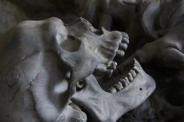 Ученые выяснили причины изменения формы черепа человека