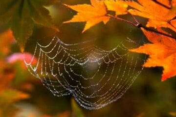 Погода в Україні. Фото: скріншот YouTube-відео