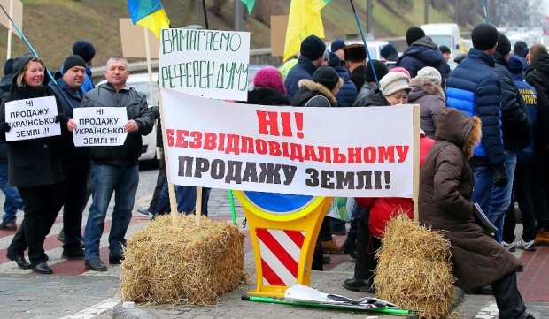 митинг, фото: ukraina.ru
