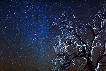 Звездное небо. Фото: YouTube, скрин