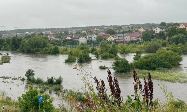 Негода у Львові, фото: Телеграм