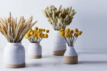 Сухоцвіт. Фото: YouTube