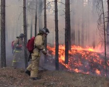 Не ходите в лес: на выходных в Украине будет высокий уровень пожарной опасности