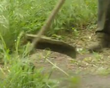 Украинские коммунальщики вместо травы косили пыль. Фото: скриншот YouTube