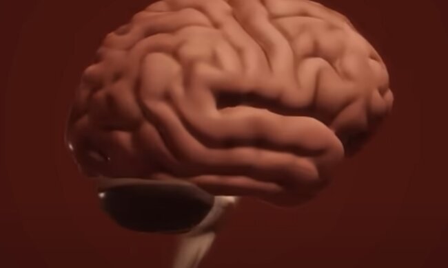 Мозок. Фото: скріншот youtube.com