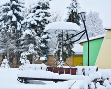 Зима, сніг, морози, відлига, потепління. Фото: Стіна