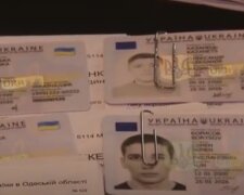 ID-паспорт. Фото: скриншот YouTube
