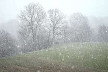 Мокрий сніг. Фото: скриншот Youtube-відео