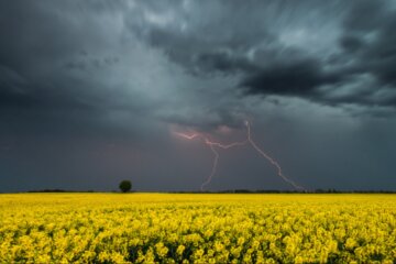 Негода, гроза, вітер, попередження синоптиків. Фото: Telegram